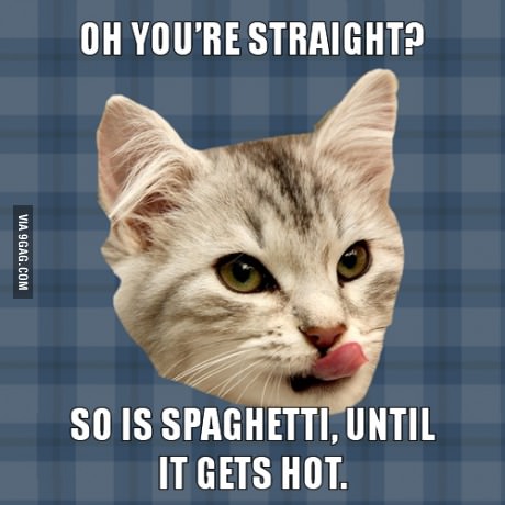 Classic cat meme, forum humor from the ctrl+v thread