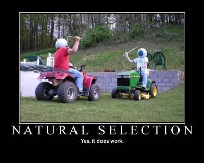 Jousting on lawnmowers: natural selection in action