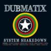 Dubmatix 'System Shakedown' album cover art