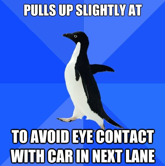 Socially Awkward Penguin avoids car eye contact