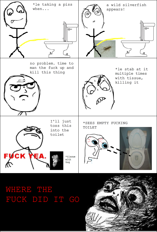 Rage comic: silverfish battle ends in toilet mystery