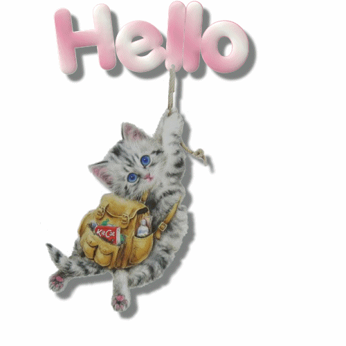 Kitten with KitKat backpack says hello