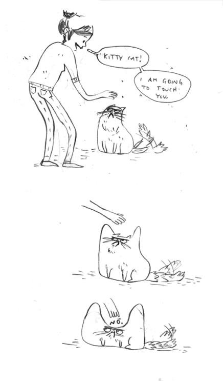Grumpy cat rejects the touch attempt, hilariously