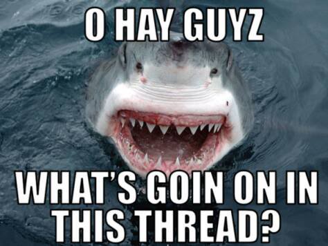 Classic shark meme greeting the thread