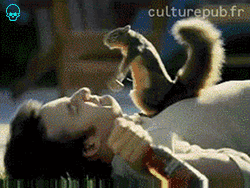Squirrel surprise attack on unsuspecting guy, classic forum meme