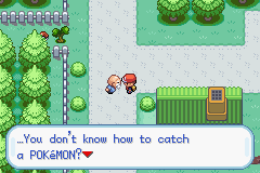 Pokémon GBA hack screenshot, catching tutorial dialogue