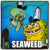 SpongeBob meme squad demanding seaweed with menace