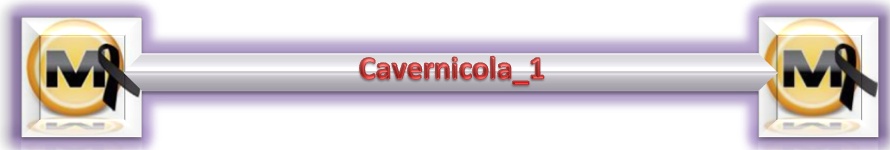 Simple forum signature banner with matching avatar icons