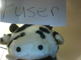 Fuser's plush cow avatar, simple and charming