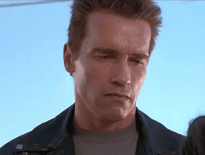 Terminator's disapproving stare meme, forum classic