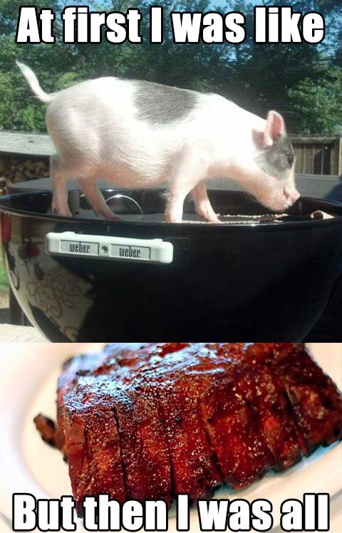 Cute piglet on a grill becomes BBQ ribs