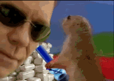 Sunglasses guy meets curious prairie dog, absurd meme energy