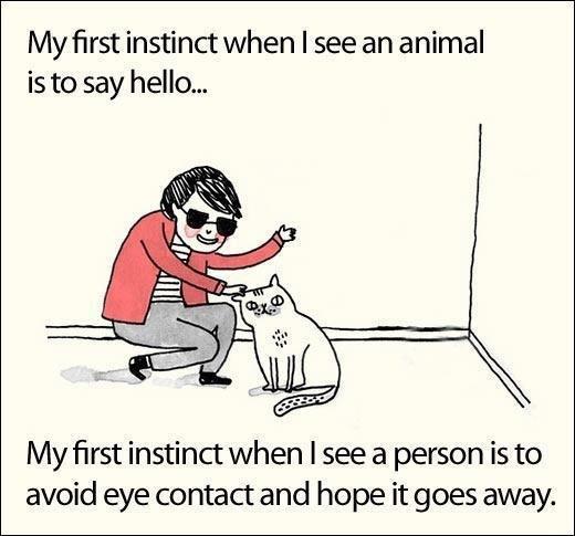 Relatable intro/extrovert humor: friendly to cats, awkward with people
