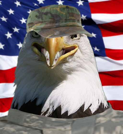 Patriotic eagle in camo hat meme edit