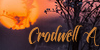 Moody sunset silhouette signature art, 'Crodwell'